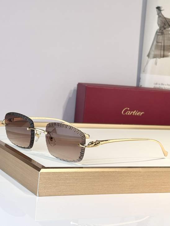 Picture of Cartier Sunglasses _SKUfw79683743fw
